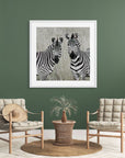 zebra fine art photography print