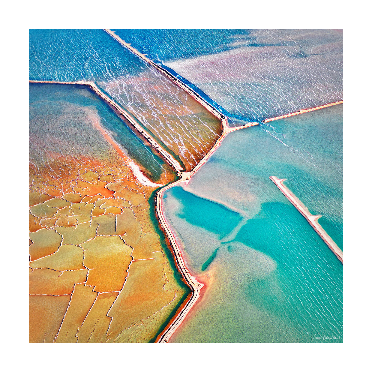 Aerial fine art photography of salt patterns