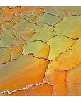 anne neiwand fine art print