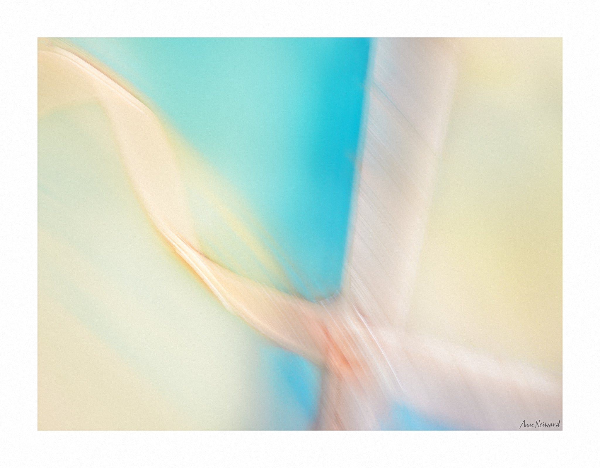 Ethereal looping form in blue and beige with dreamy atmosphere