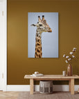 Iconic giraffe animal print for sale, captured in stunning detail. Canvas