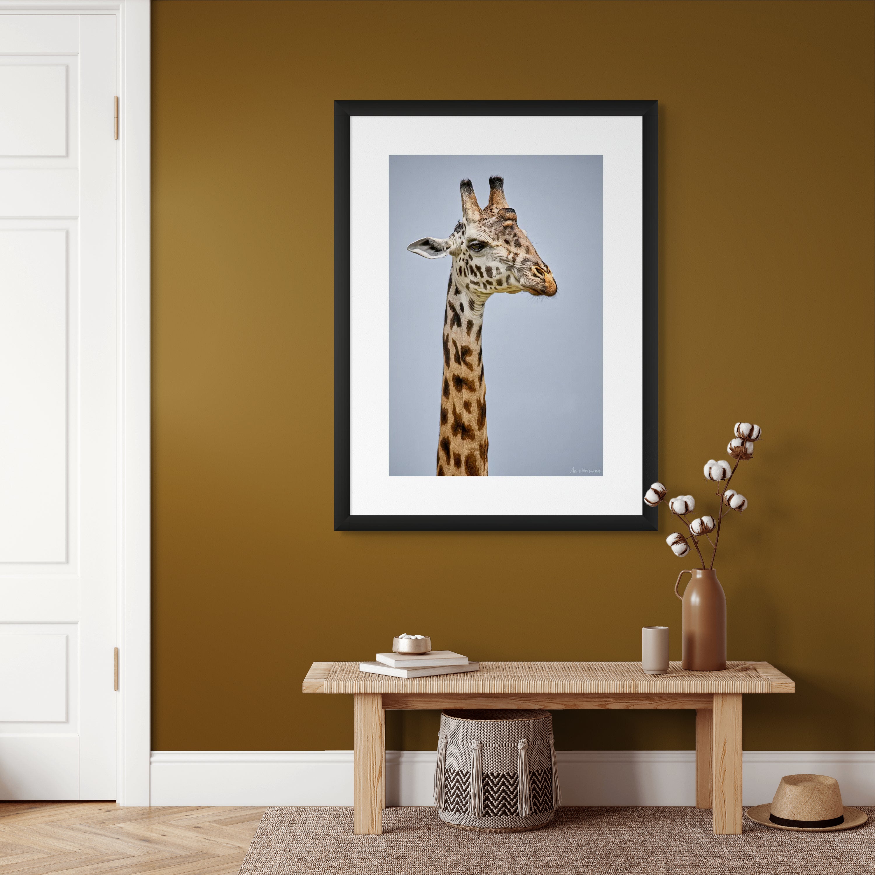 Wildlife photography of a giraffe looking right, on a clear day.