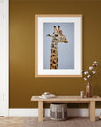 Safari animal art: Head and upper body of a giraffe, ready for print