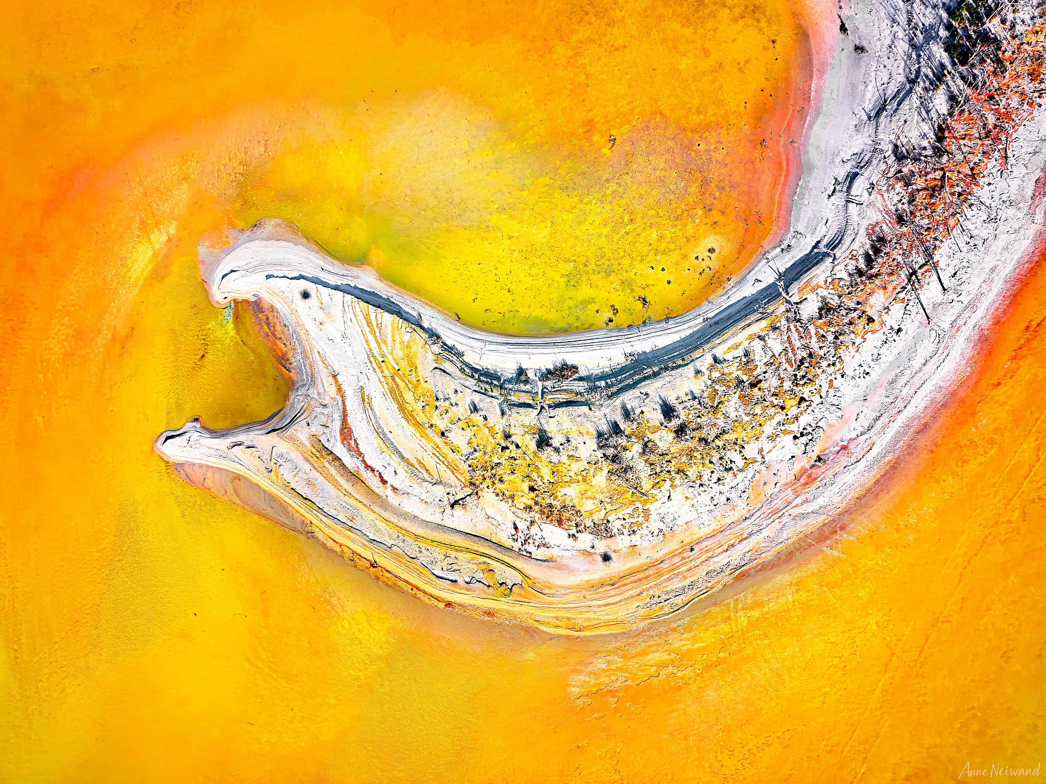 Close-up aerial textures in natural gold and white