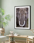 African elephant tusks artwork