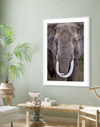 wildlife conservation wall art