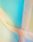 abstract motion photography wall art