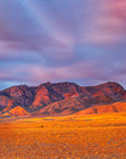 Old windmill and red earth under dramatic sky in Flinders Ranges, South Australia