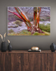 Australian snow gum riverbank scene
