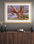 river spirit fine art tree photography