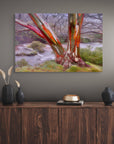 multicoloured eucalyptus bark art