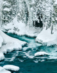 fine art photograph of frozen wilderness