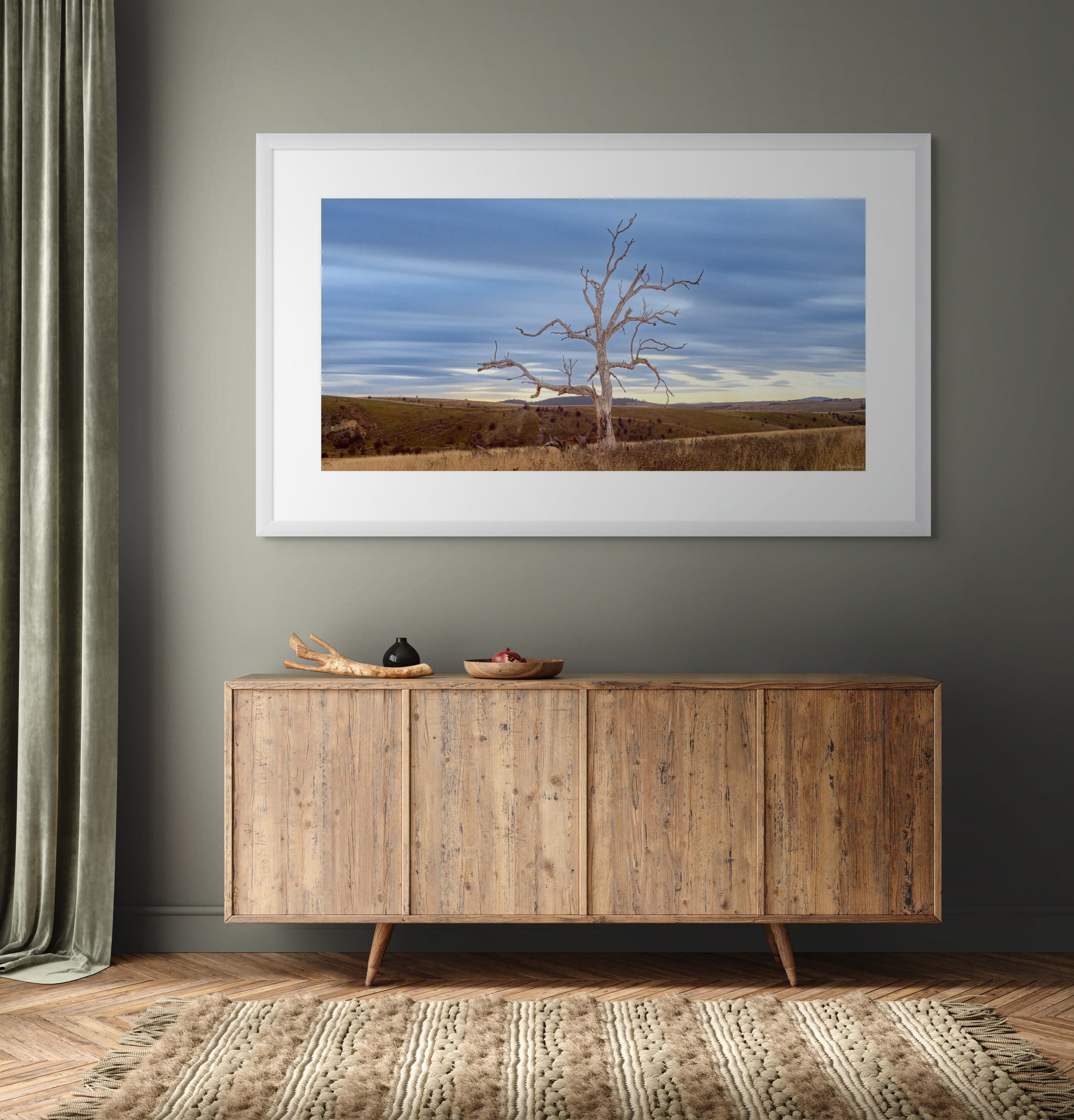 lone tree in open Australian landscape