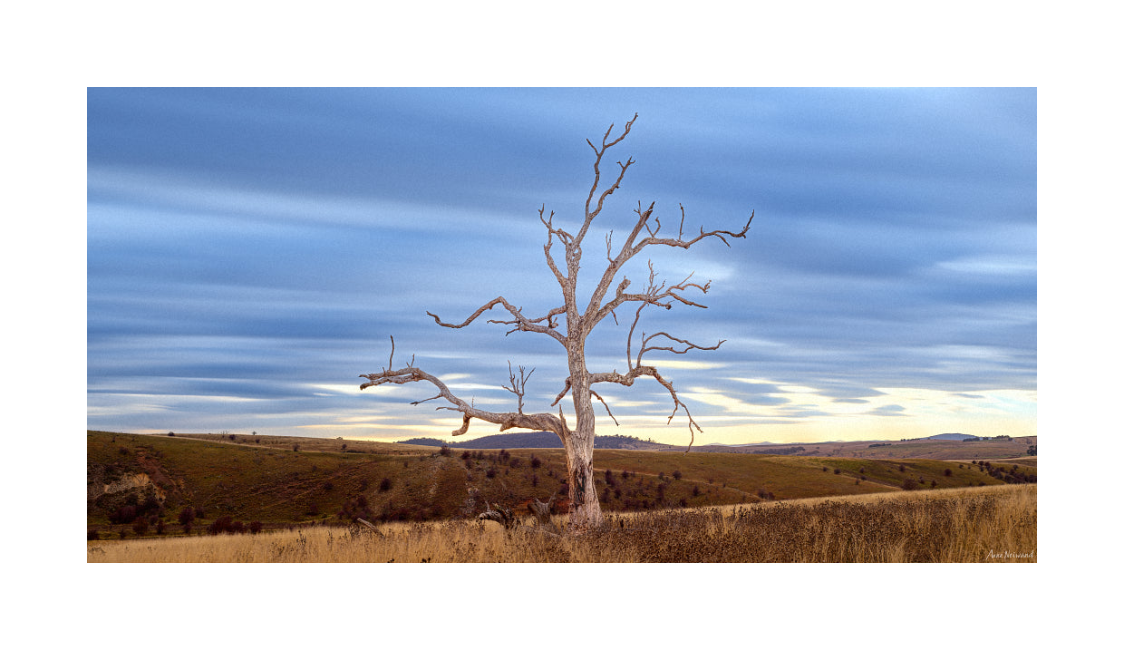 horizontal wall art with soft colours