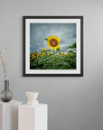 moody landscape with bright sunflower