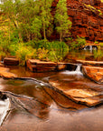 fine art landscape of tranquil stream