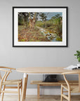 Fine art photo of stream in gum forest landscape