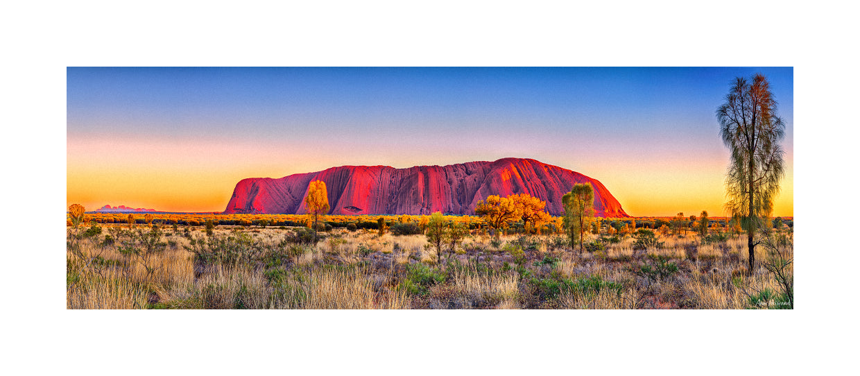 Fine art wall print of Uluru at sunrise with rich desert colours