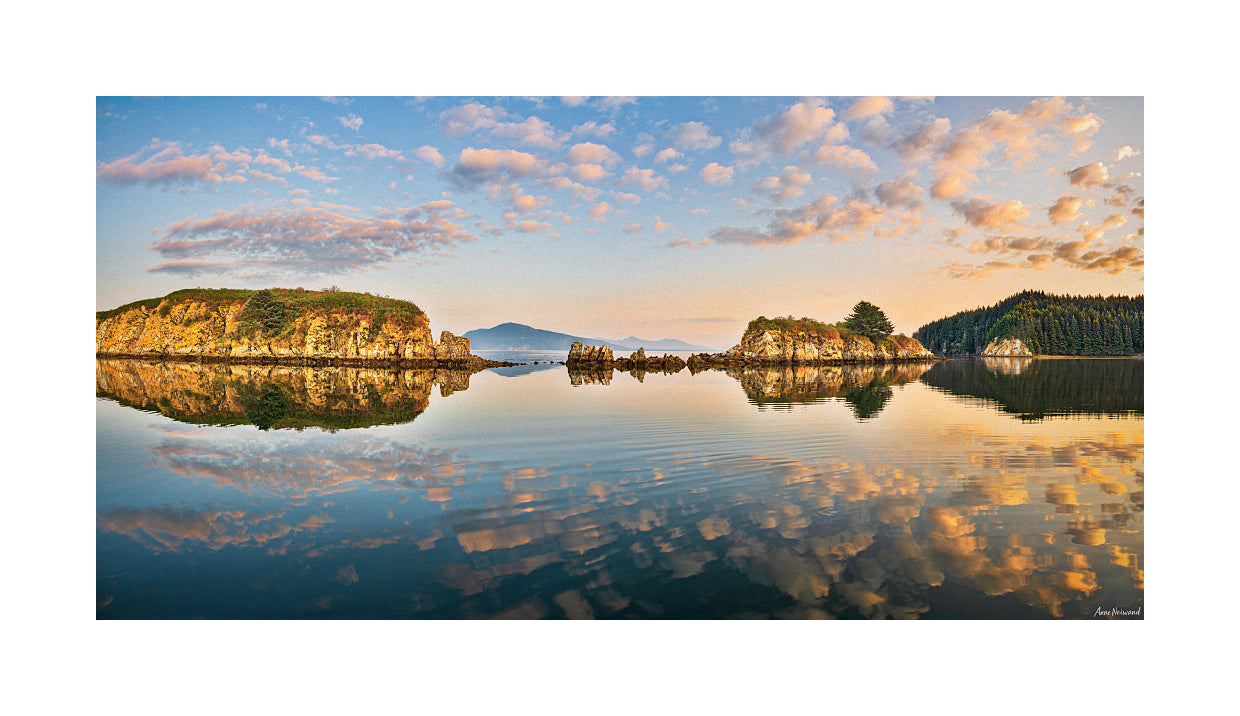 Ocean inlet surrounded by forested headlands in warm light