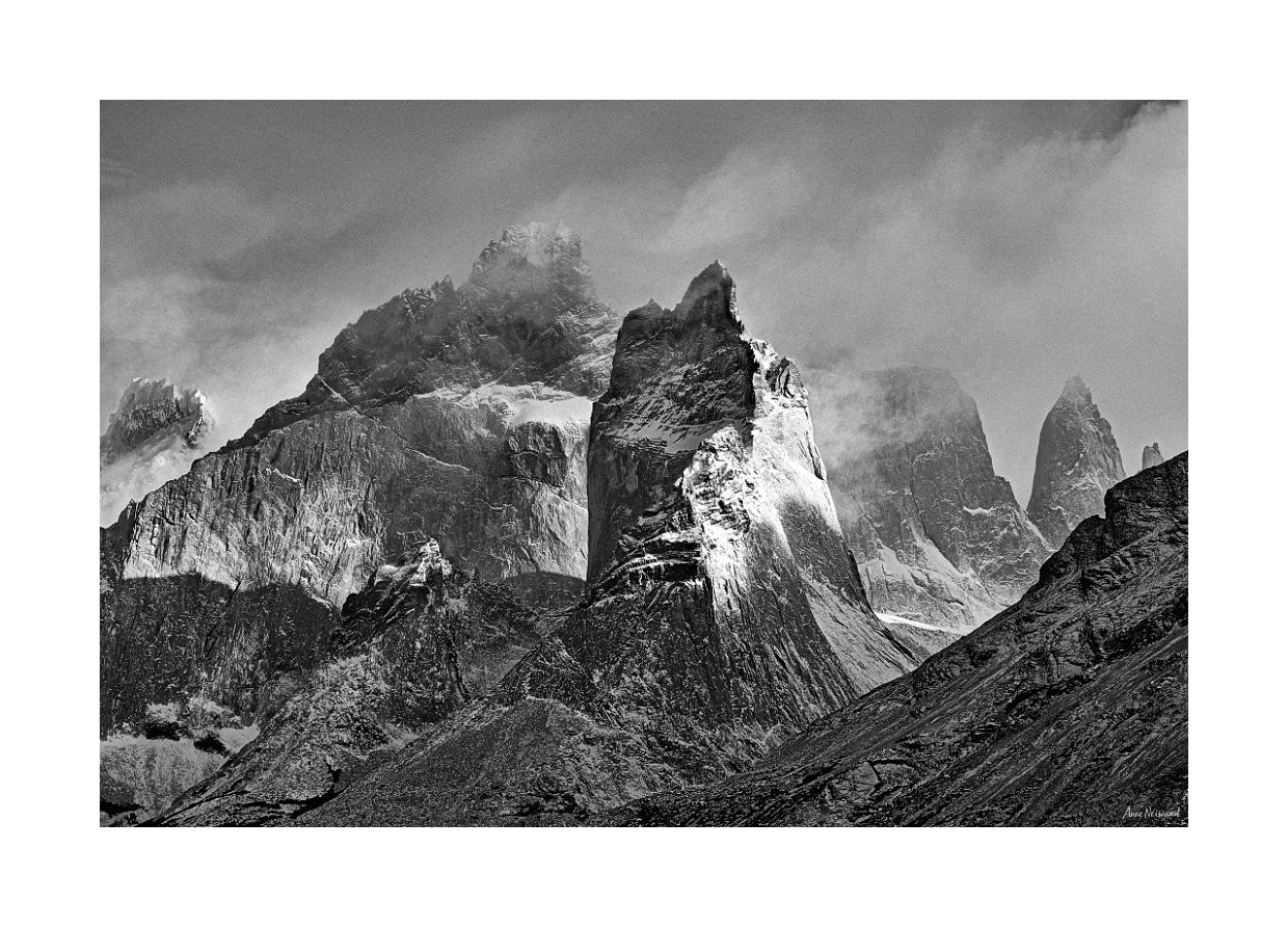 Nature-inspired minimalist wall art