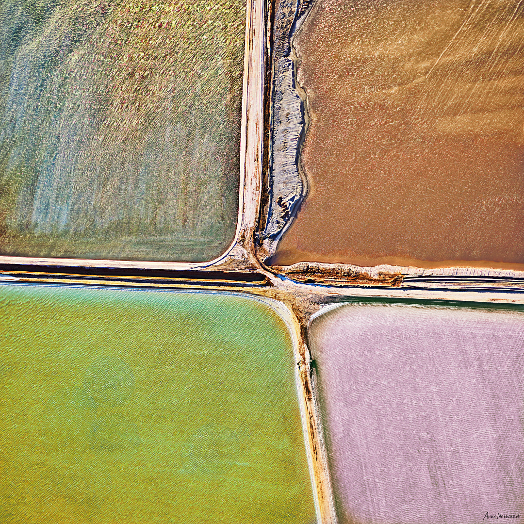 square aerial photo of salt ponds