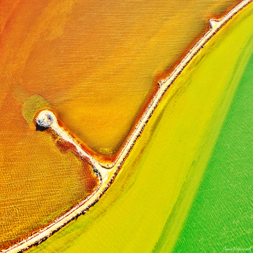 Australian abstract landscape