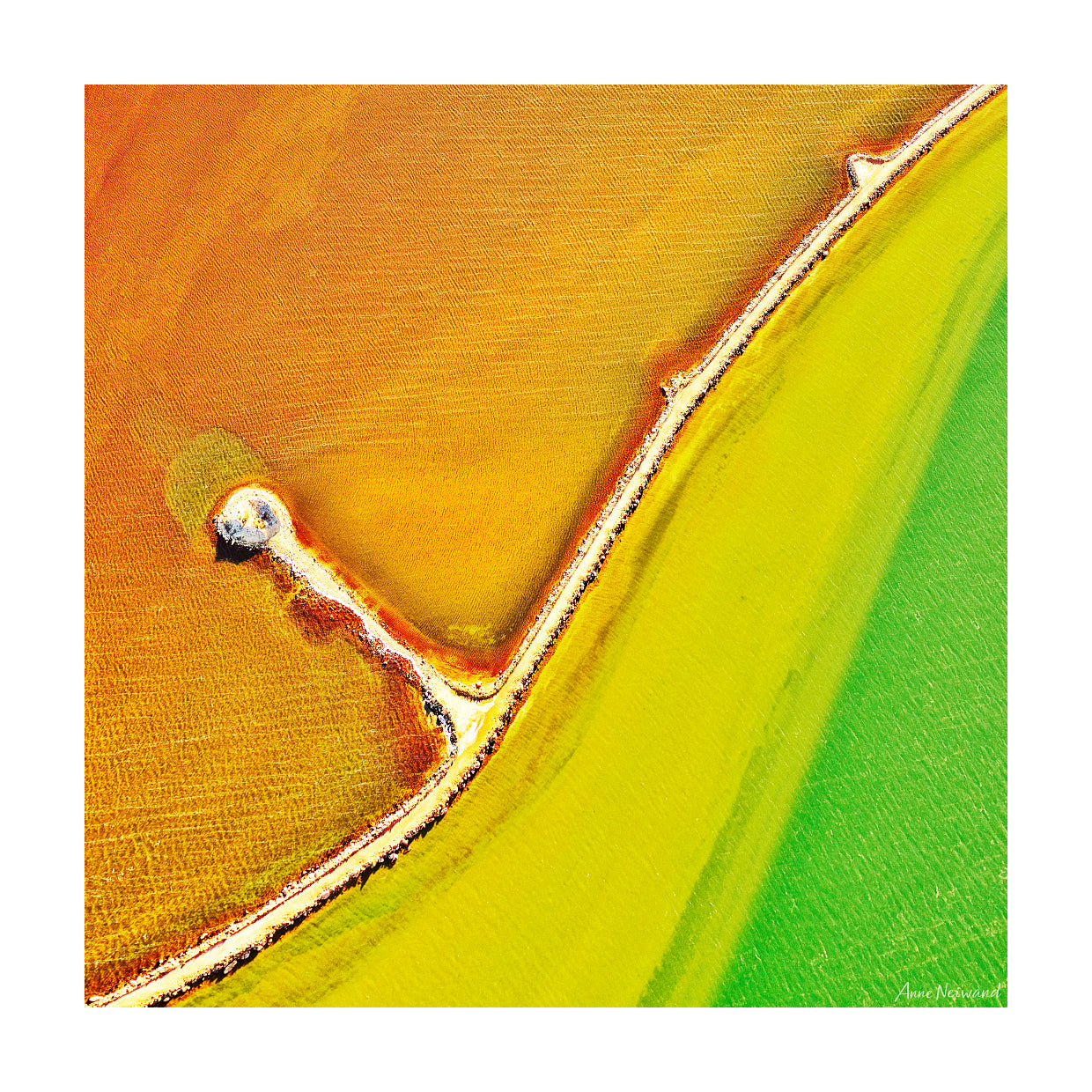 Aerial textures wall art