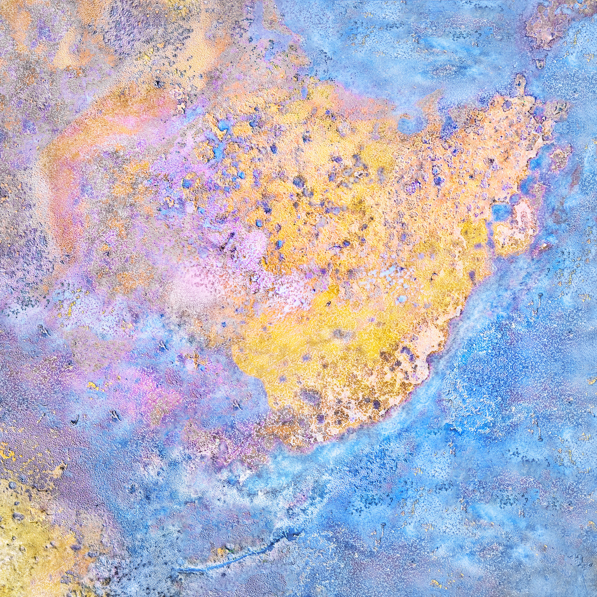 Drift of Gold fine art aerial photography by Anne Neiwand Photography
