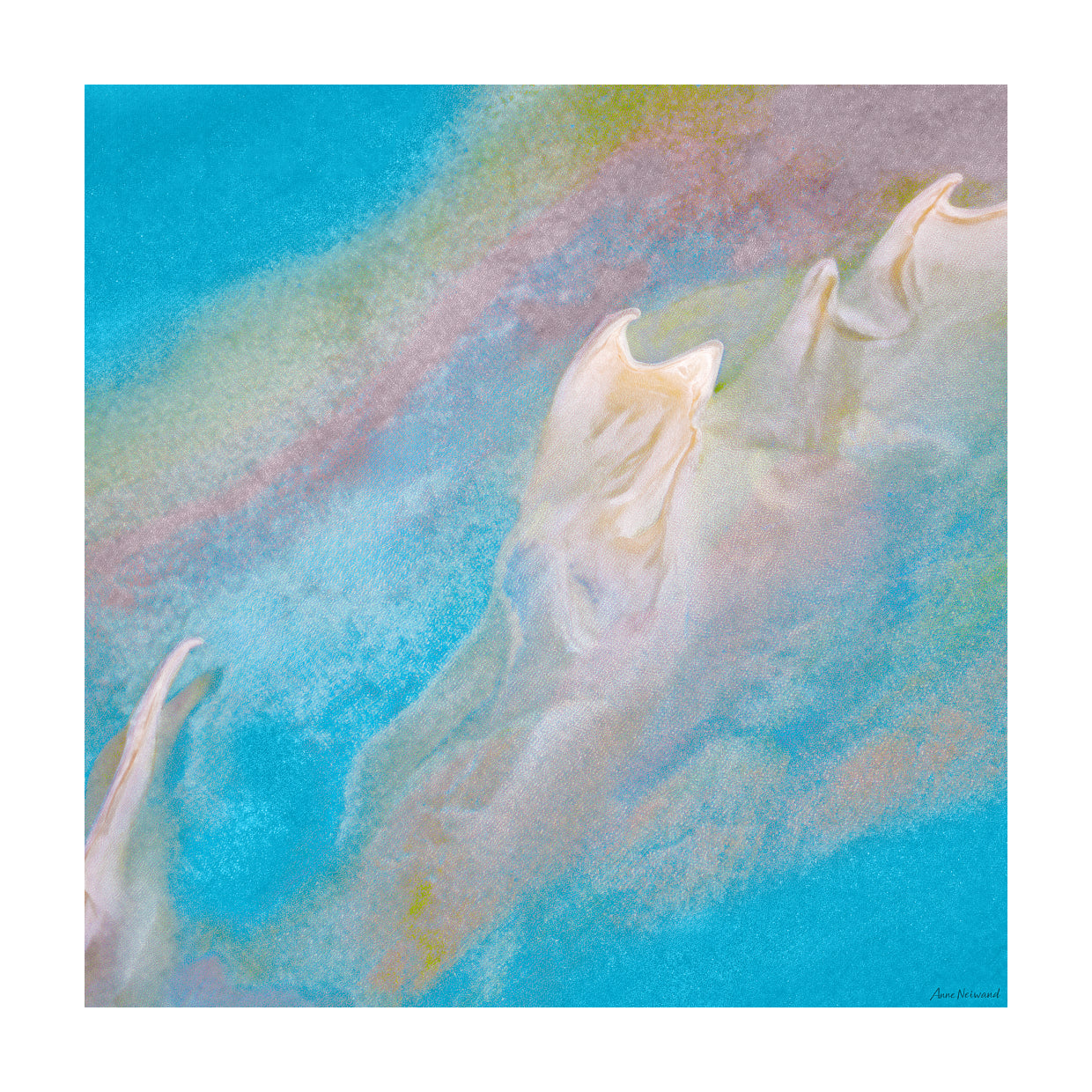 Modern coastal abstract art photograph