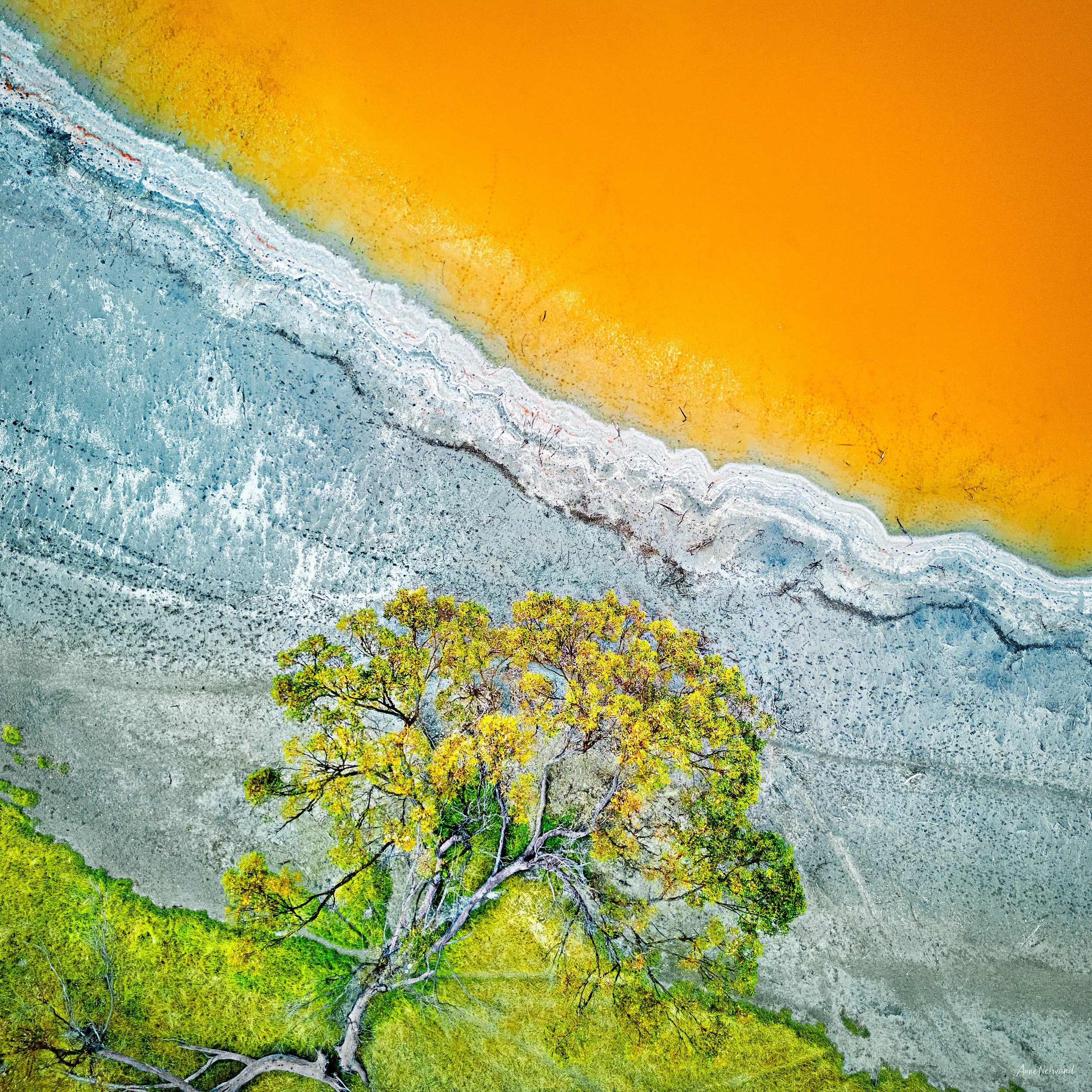 aerial salt lake photograph Western Australia