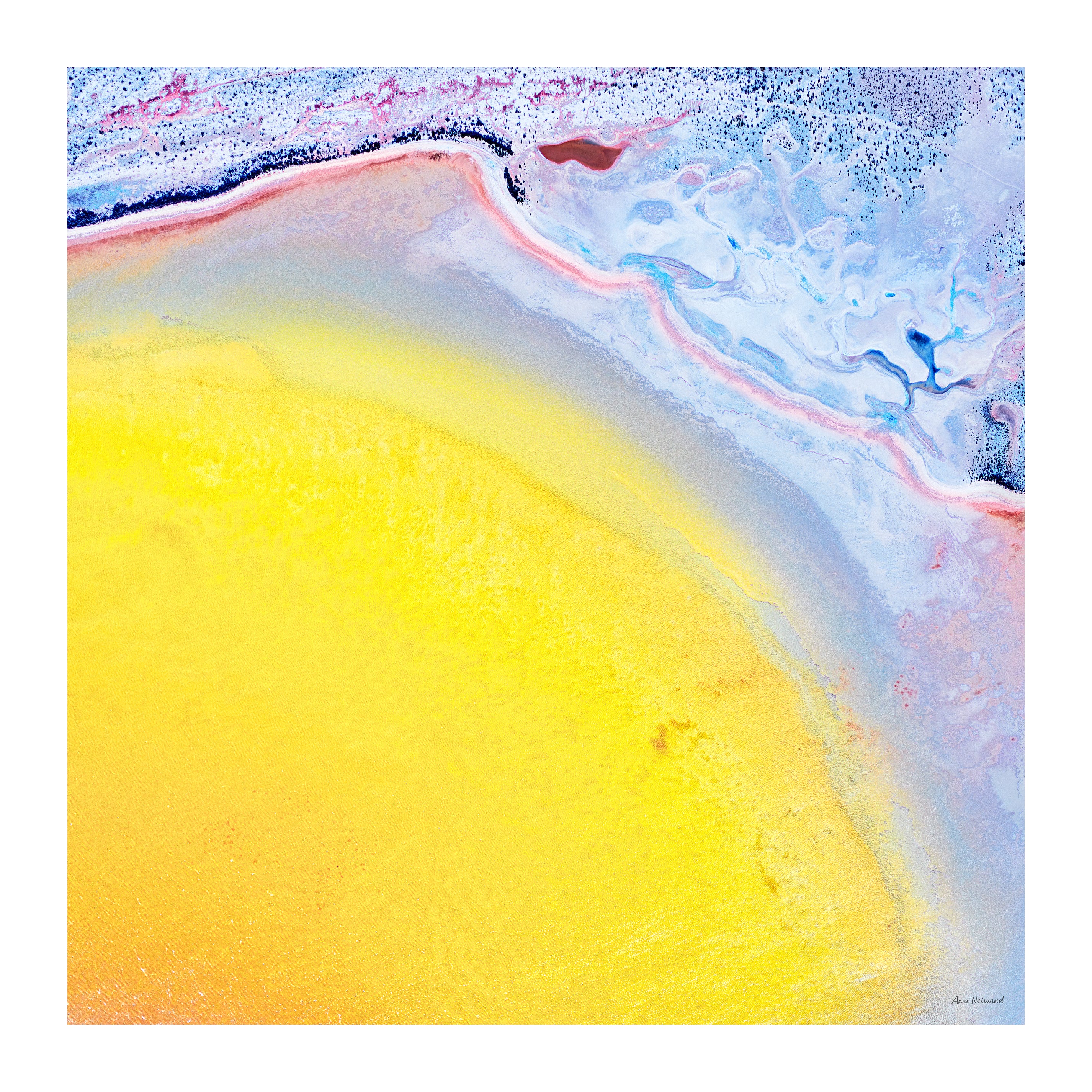 golden tones modern wall art