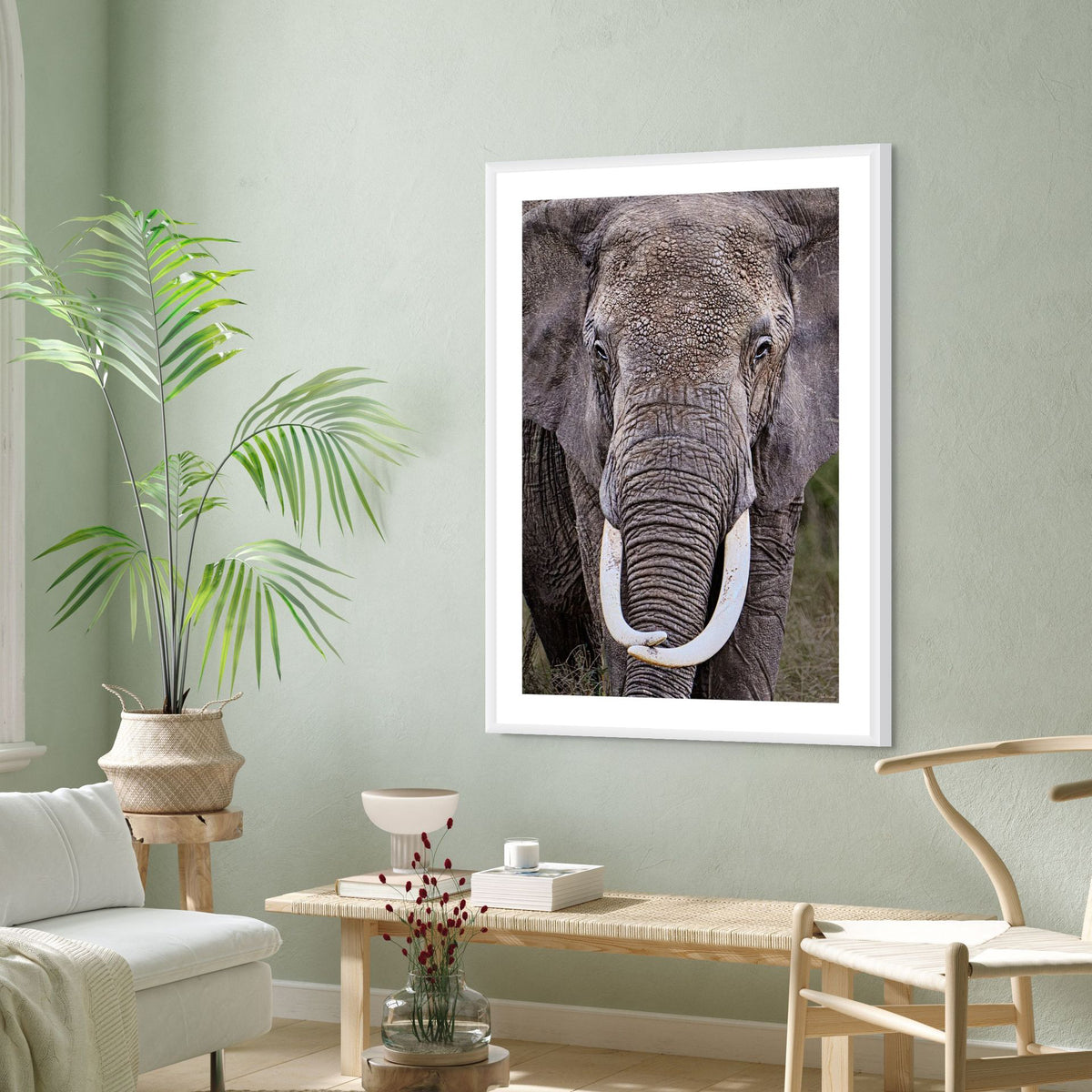 wildlife conservation wall art