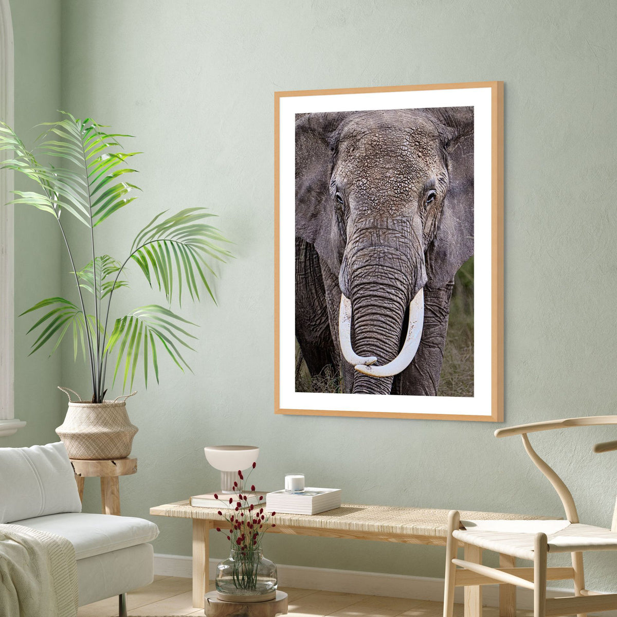 large elephant face print