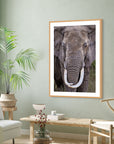 large elephant face print