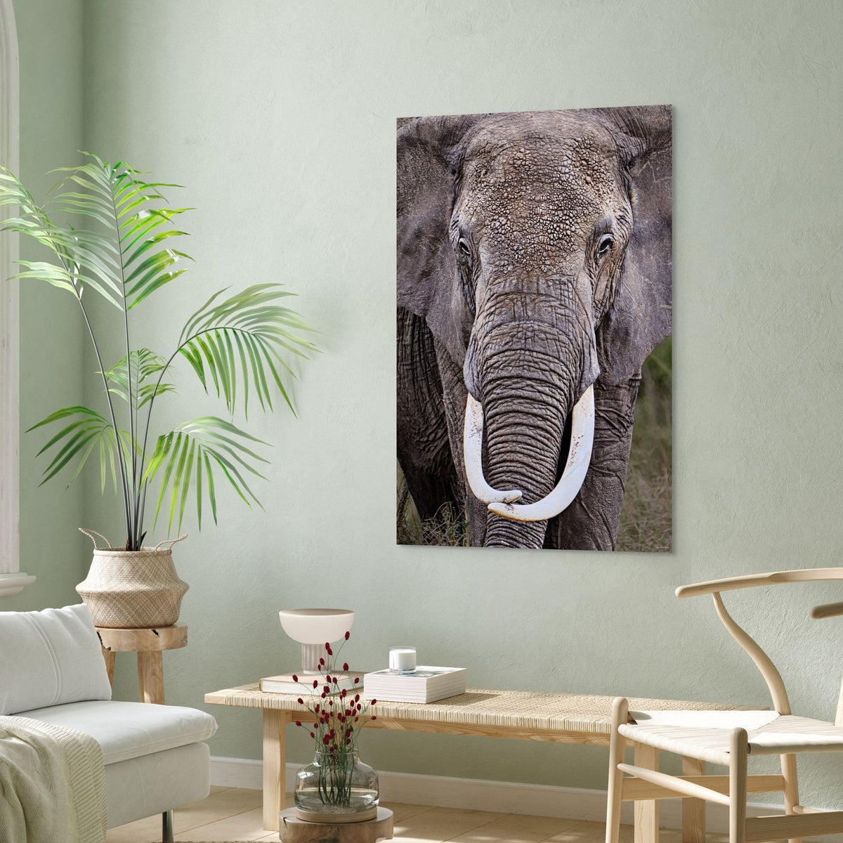 textured elephant skin detail photo