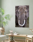 textured elephant skin detail photo