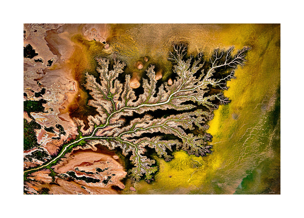 modern abstract nature decor