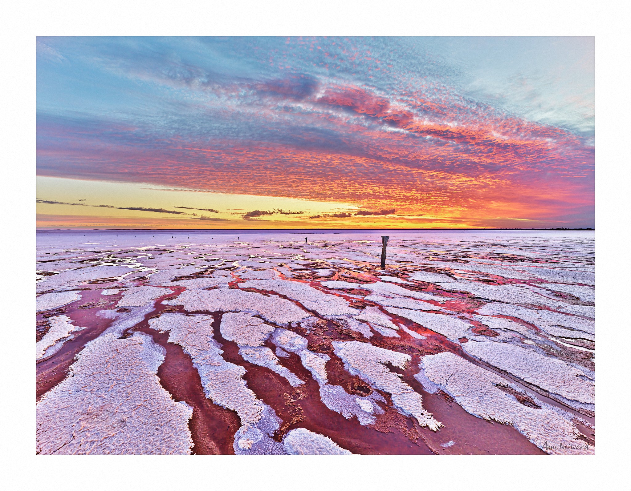 Salt-encrusted lakebed glowing at sunset in the Australian Mallee region