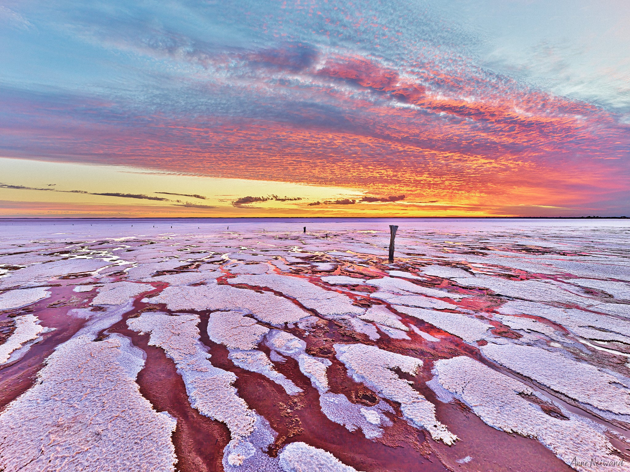 Mallee region sunset over dry saltpan with rich red and lavender tones