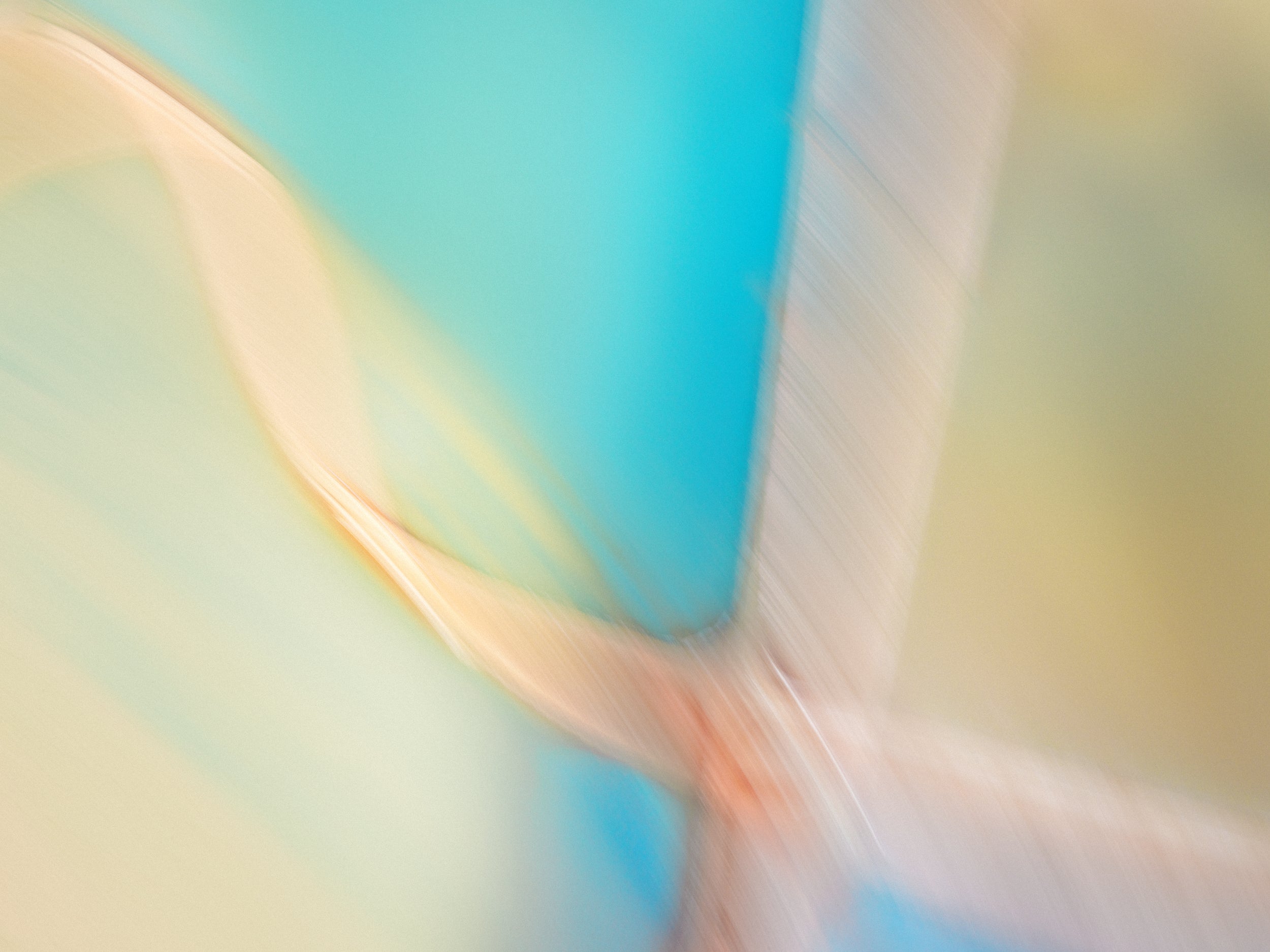 abstract motion photography wall art