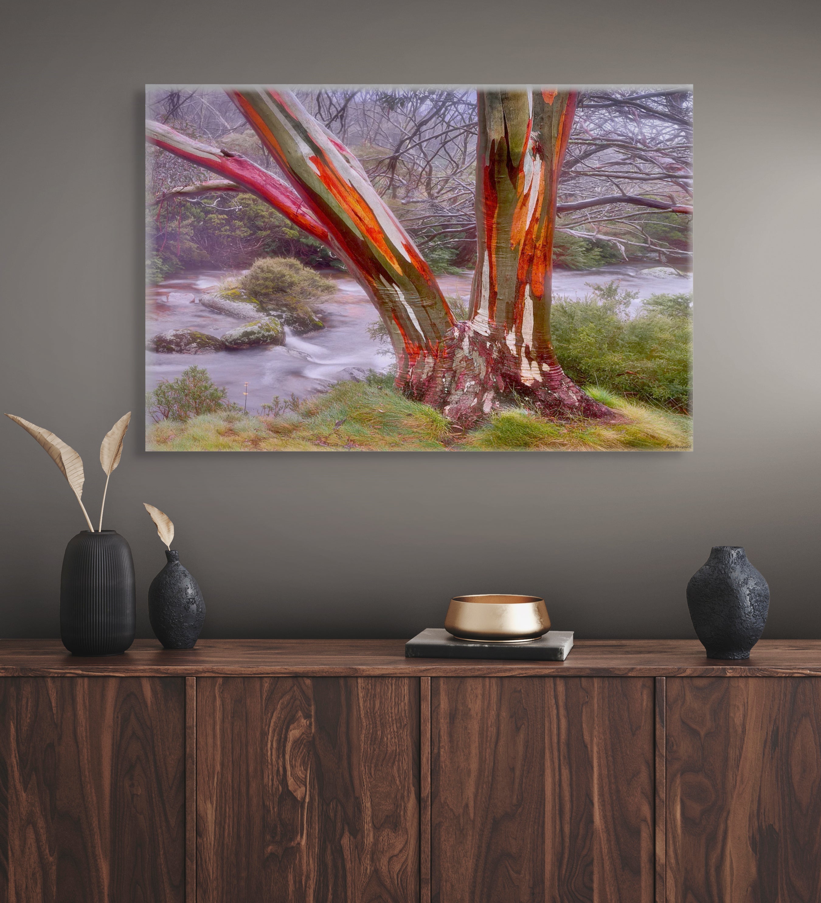Australian snow gum riverbank scene