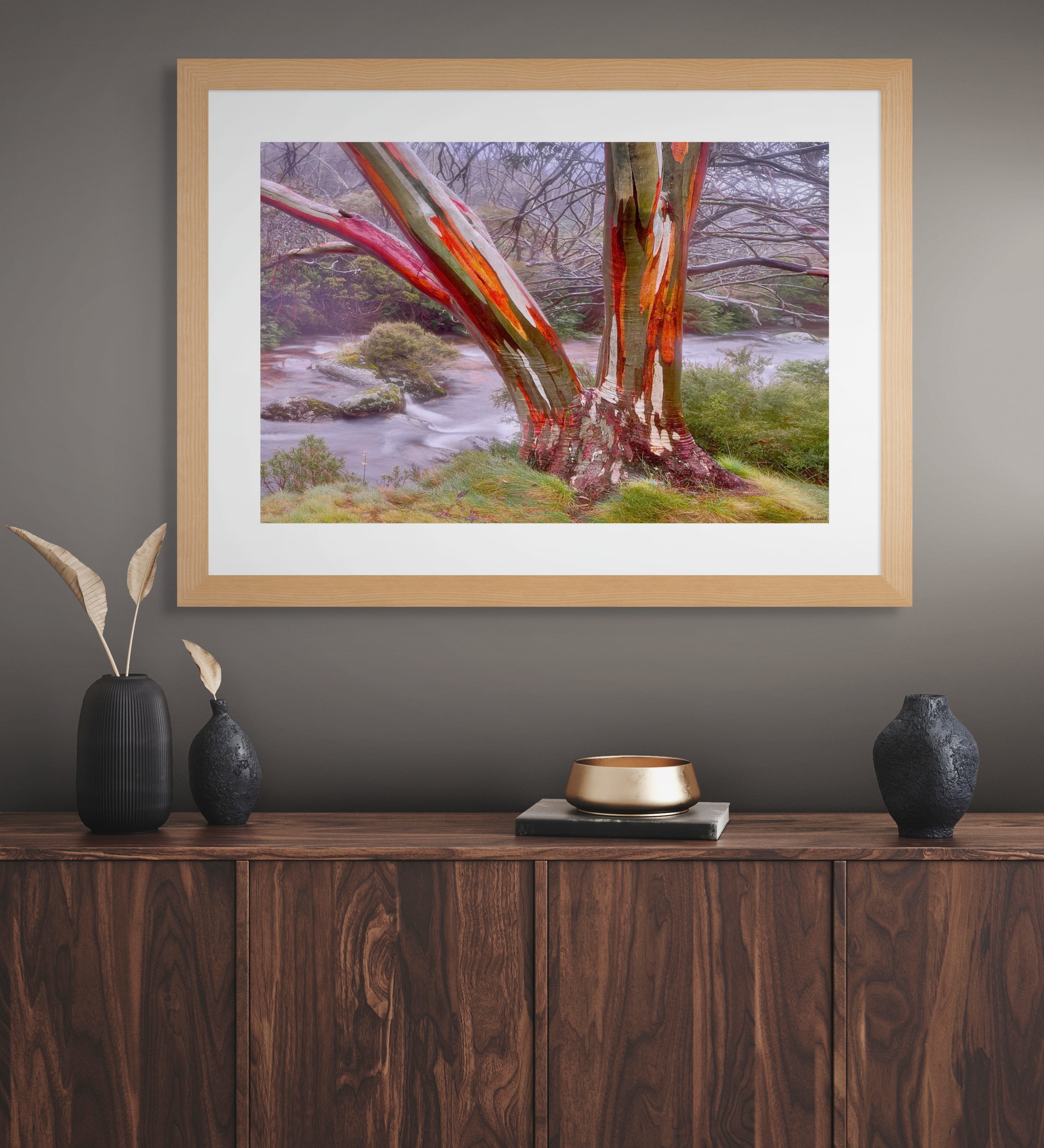 river spirit fine art tree photography