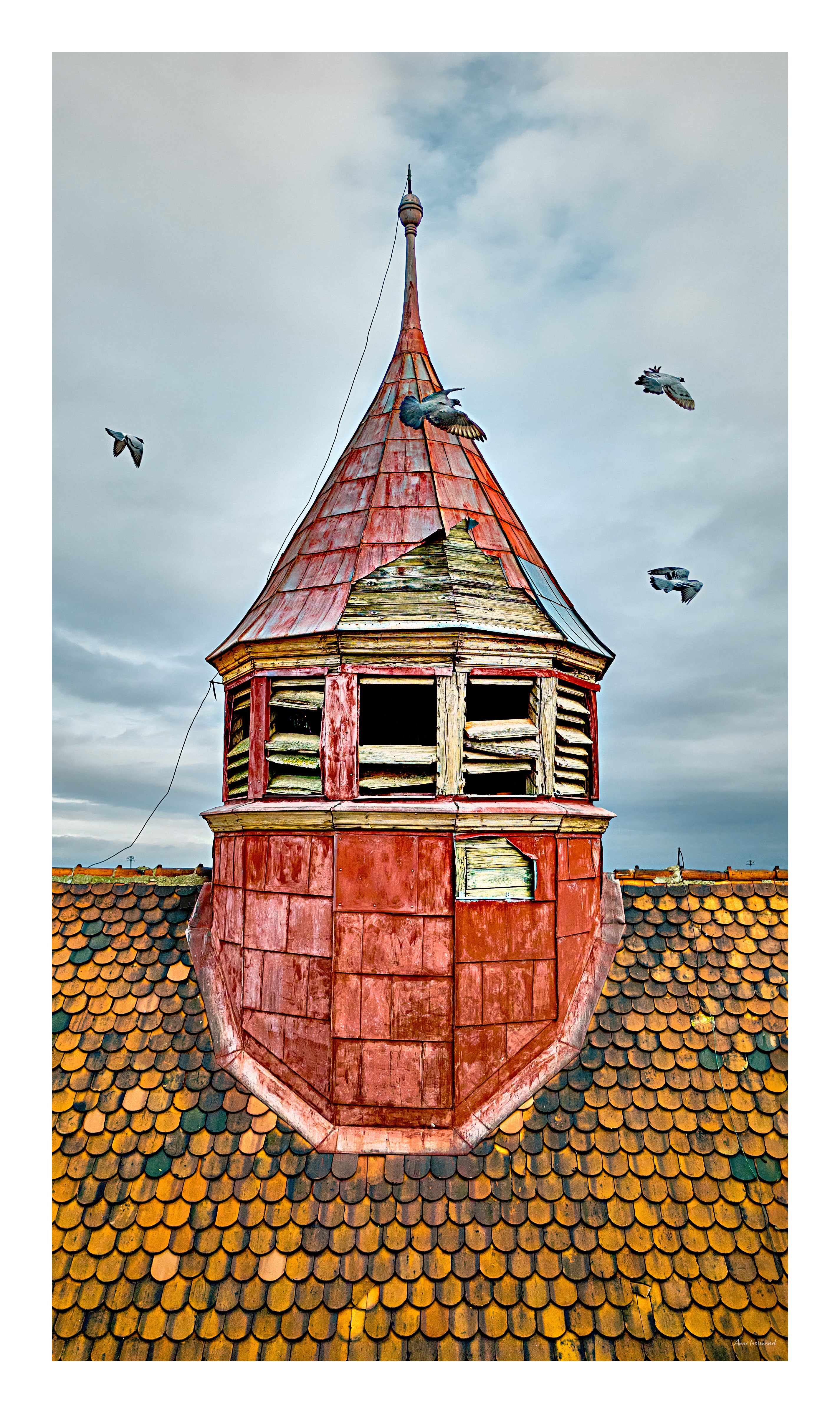 birds in flight architectural photography