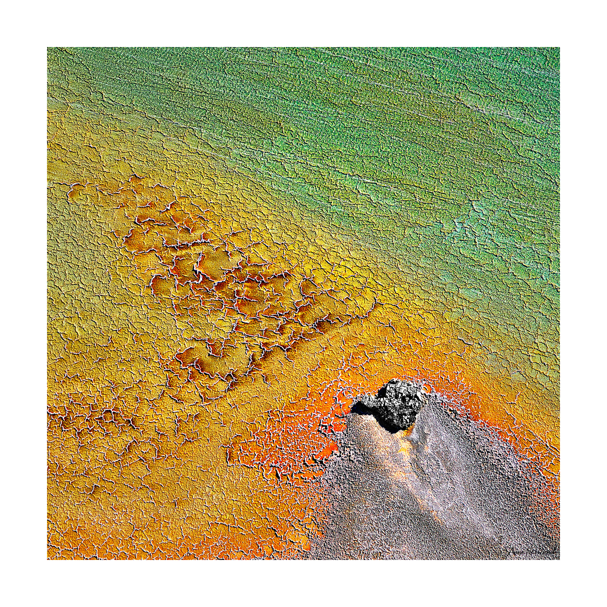 Nature-inspired fine art for modern interiors