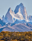 Patagonia guanaco landscape