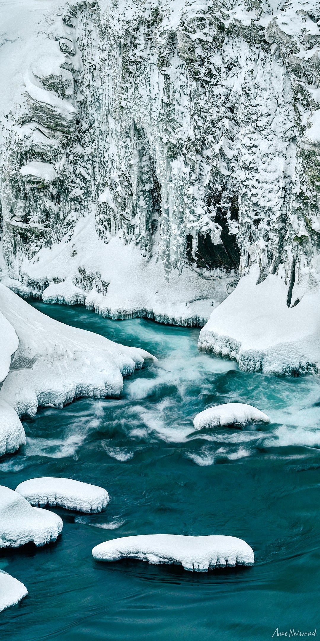 fine art photograph of frozen wilderness