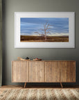 lone tree in open Australian landscape