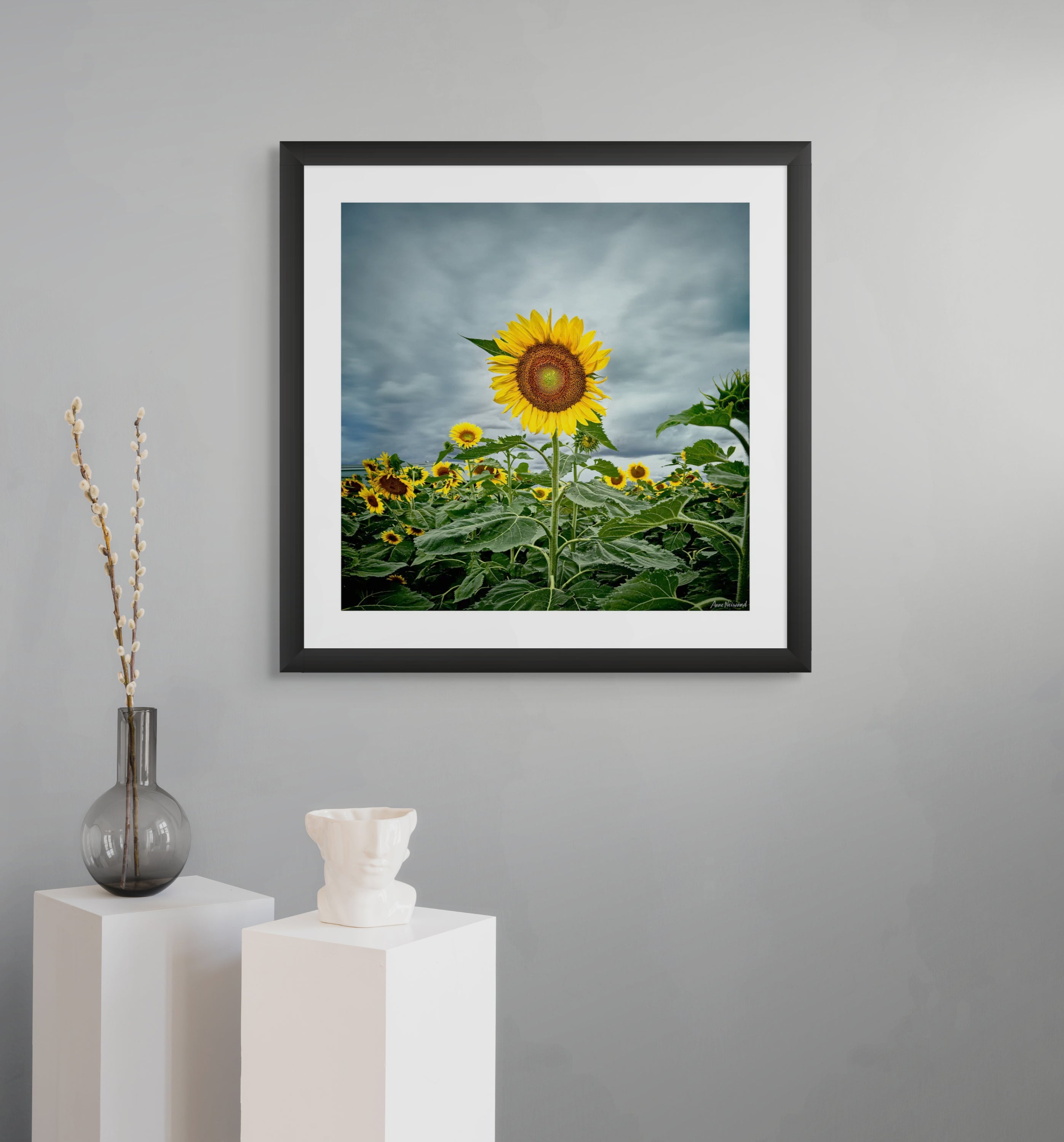 moody landscape with bright sunflower