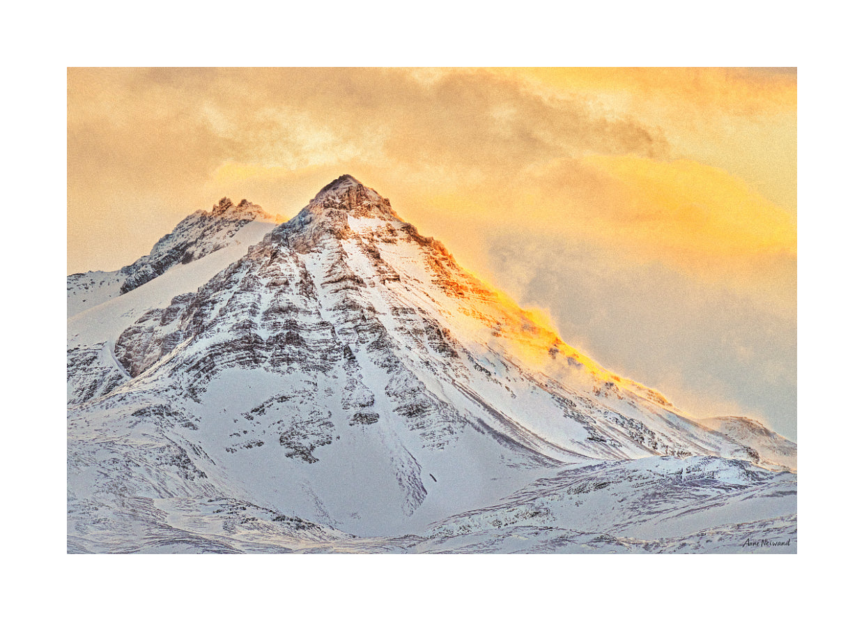 fine art photography golden tones