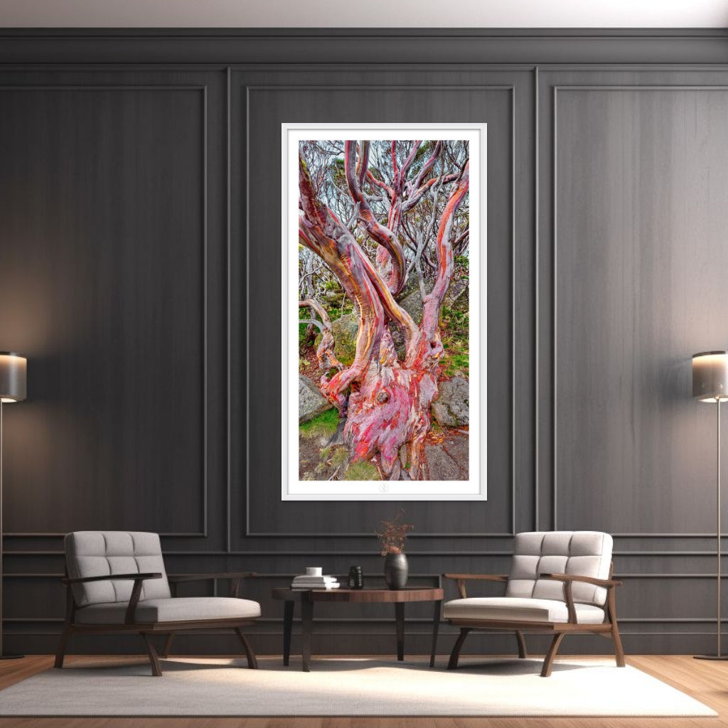Framed White